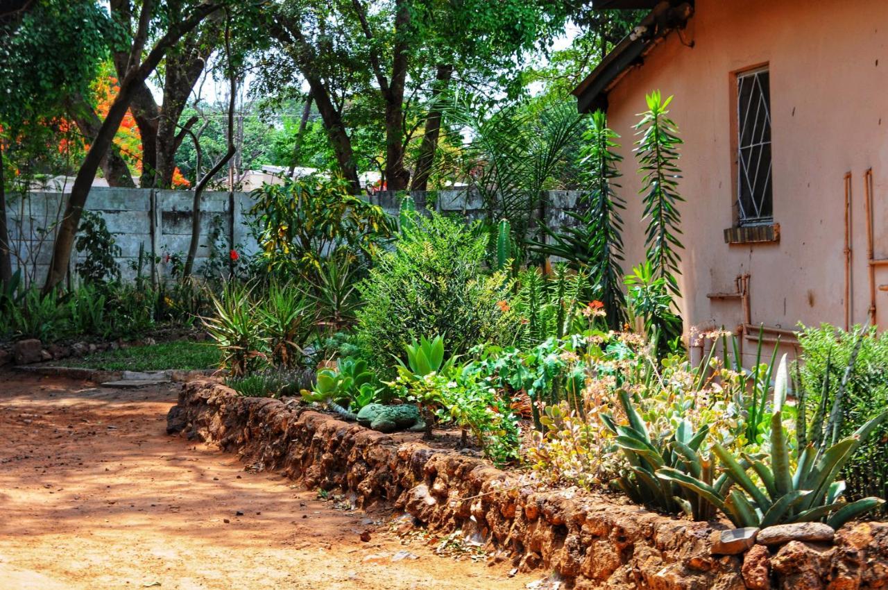 Butterfly Apartments Livingstone Extérieur photo